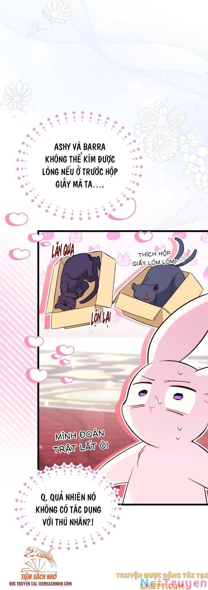 Mối Quan Hệ Cộng Sinh Giữa Báo Đen Và Thỏ Trắng - Chap 58 - Trang 36