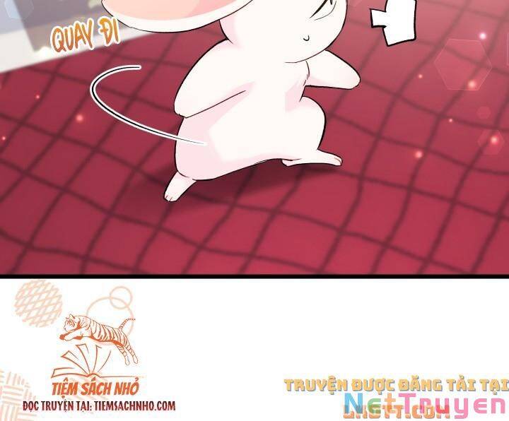 Mối Quan Hệ Cộng Sinh Giữa Báo Đen Và Thỏ Trắng - Chap 58 - Trang 40