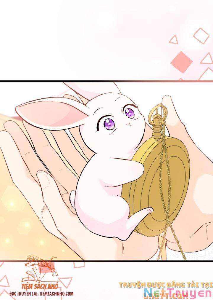 Mối Quan Hệ Cộng Sinh Giữa Báo Đen Và Thỏ Trắng - Chap 58 - Trang 58