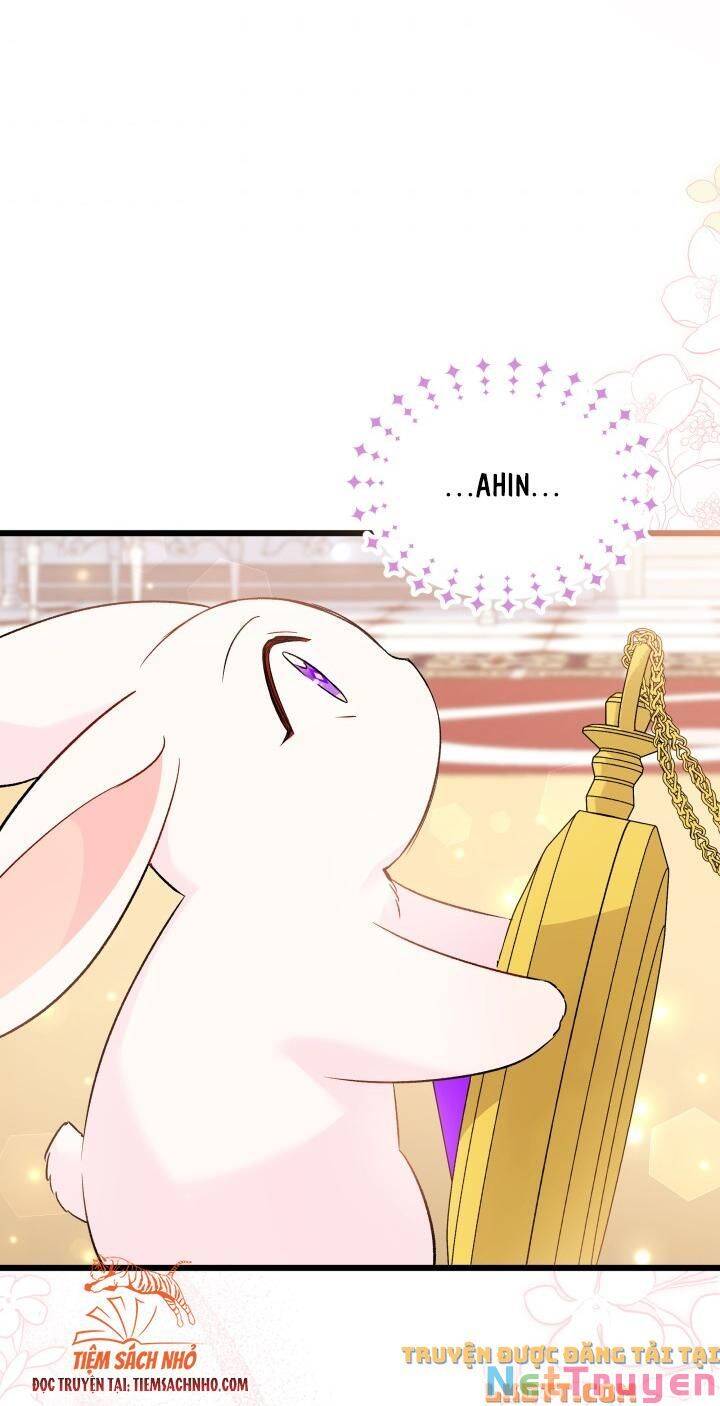 Mối Quan Hệ Cộng Sinh Giữa Báo Đen Và Thỏ Trắng - Chap 58 - Trang 63