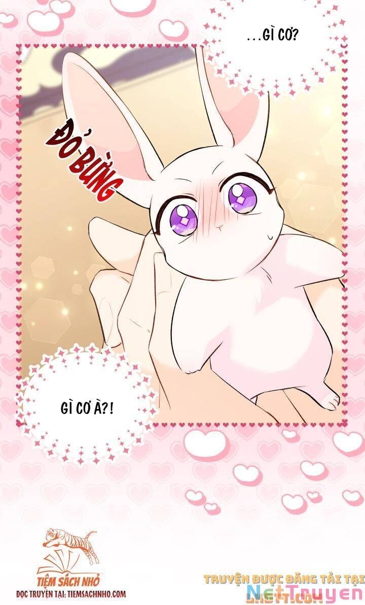 Mối Quan Hệ Cộng Sinh Giữa Báo Đen Và Thỏ Trắng - Chap 58 - Trang 73