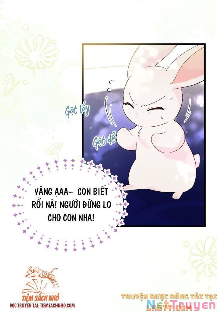 Mối Quan Hệ Cộng Sinh Giữa Báo Đen Và Thỏ Trắng - Chap 58 - Trang 9