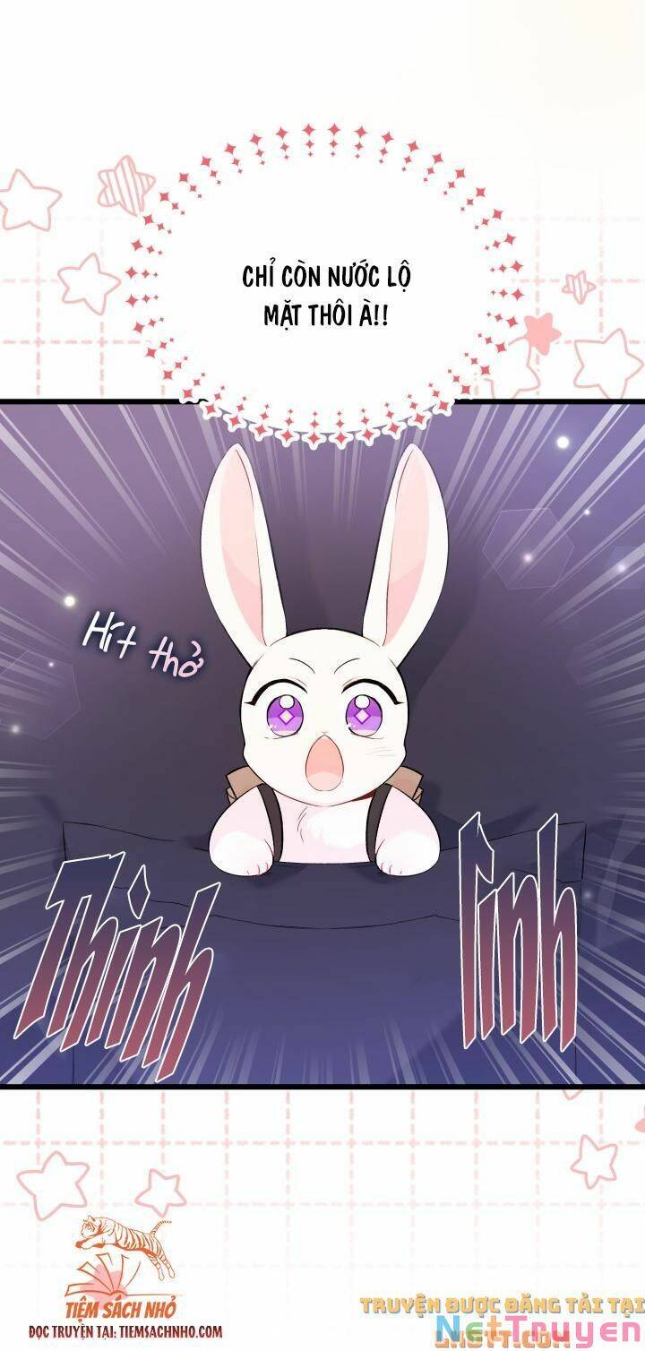 Mối Quan Hệ Cộng Sinh Giữa Báo Đen Và Thỏ Trắng - Chap 59 - Trang 16