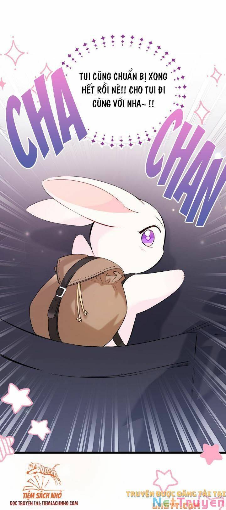 Mối Quan Hệ Cộng Sinh Giữa Báo Đen Và Thỏ Trắng - Chap 59 - Trang 19