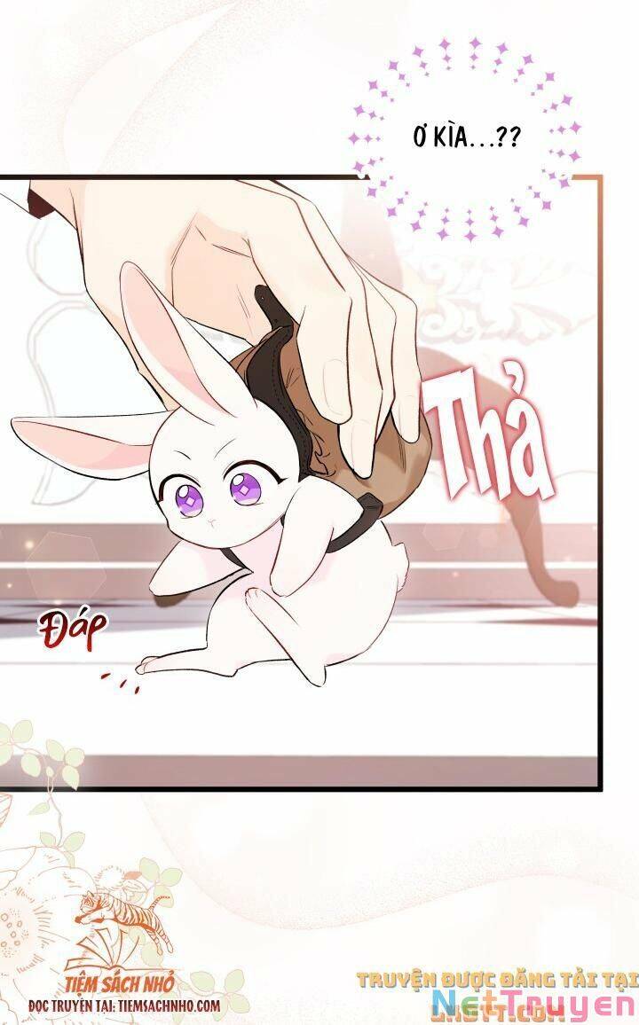 Mối Quan Hệ Cộng Sinh Giữa Báo Đen Và Thỏ Trắng - Chap 59 - Trang 23