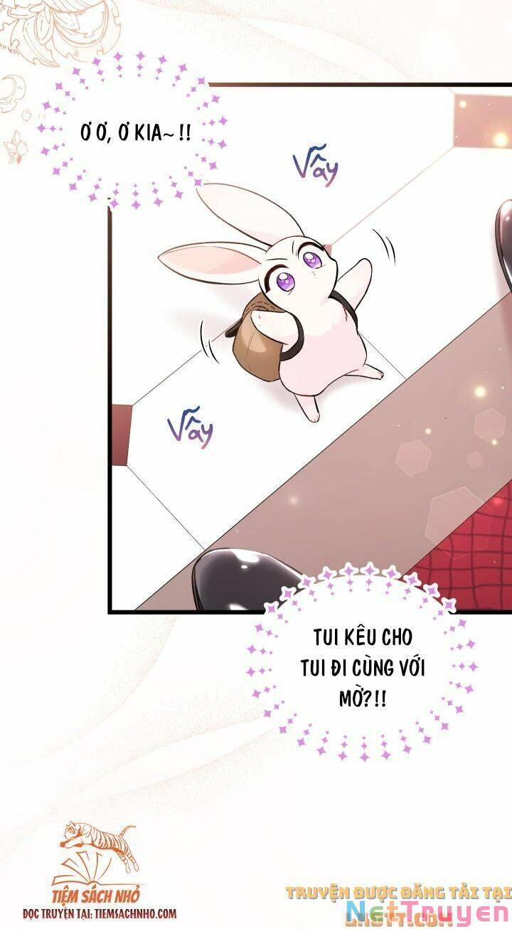 Mối Quan Hệ Cộng Sinh Giữa Báo Đen Và Thỏ Trắng - Chap 59 - Trang 24