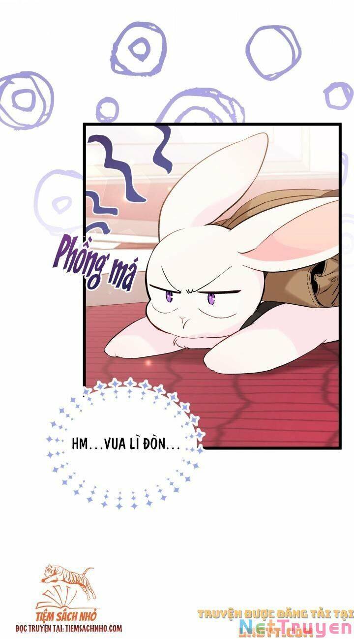 Mối Quan Hệ Cộng Sinh Giữa Báo Đen Và Thỏ Trắng - Chap 59 - Trang 28