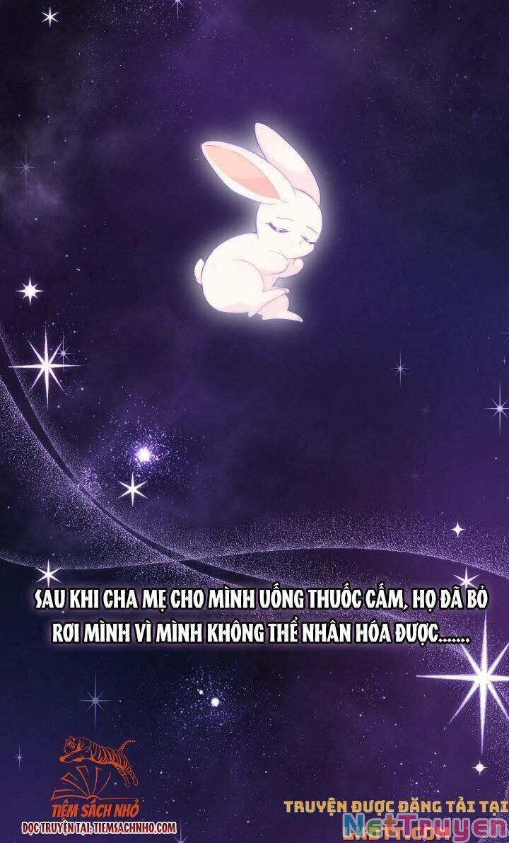 Mối Quan Hệ Cộng Sinh Giữa Báo Đen Và Thỏ Trắng - Chap 59 - Trang 4