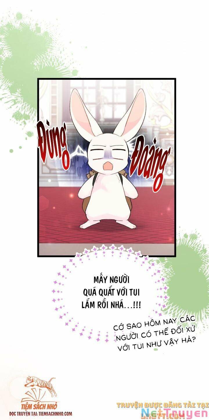 Mối Quan Hệ Cộng Sinh Giữa Báo Đen Và Thỏ Trắng - Chap 59 - Trang 33