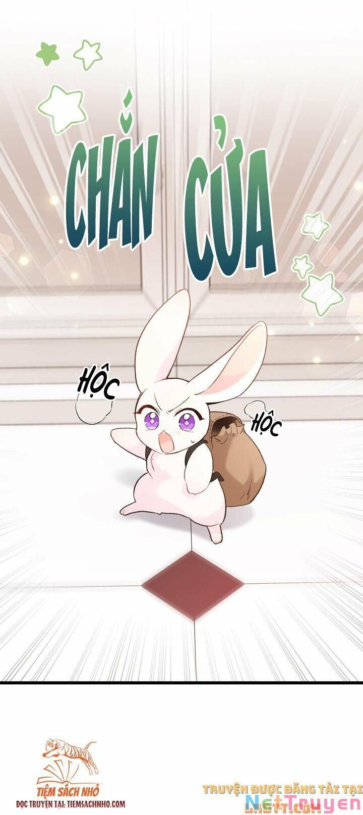 Mối Quan Hệ Cộng Sinh Giữa Báo Đen Và Thỏ Trắng - Chap 59 - Trang 35