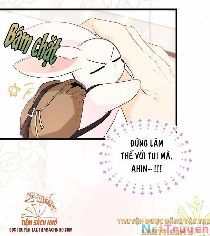 Mối Quan Hệ Cộng Sinh Giữa Báo Đen Và Thỏ Trắng - Chap 59 - Trang 39