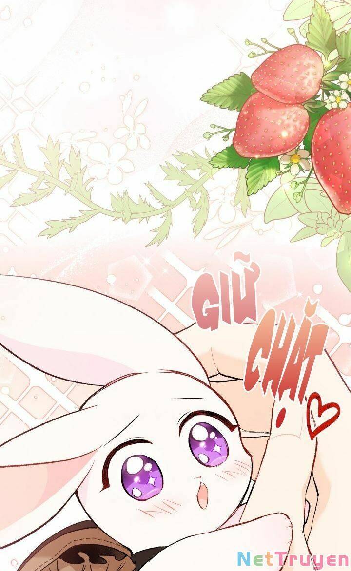 Mối Quan Hệ Cộng Sinh Giữa Báo Đen Và Thỏ Trắng - Chap 59 - Trang 40