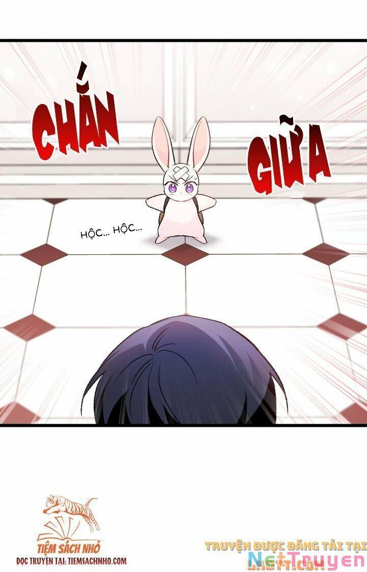 Mối Quan Hệ Cộng Sinh Giữa Báo Đen Và Thỏ Trắng - Chap 59 - Trang 45