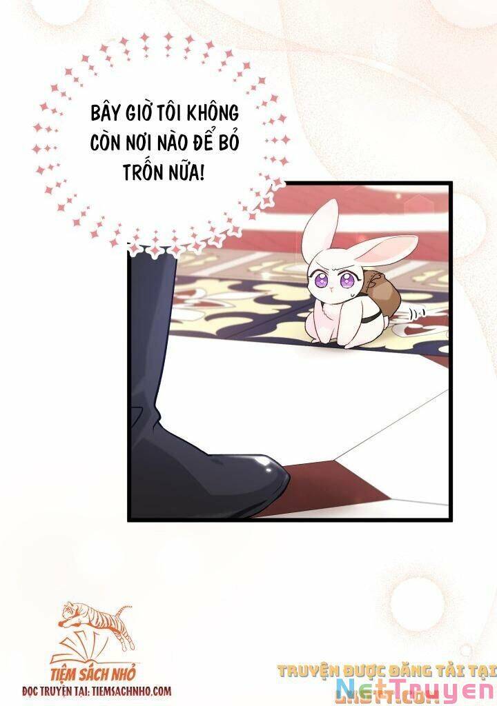 Mối Quan Hệ Cộng Sinh Giữa Báo Đen Và Thỏ Trắng - Chap 59 - Trang 52