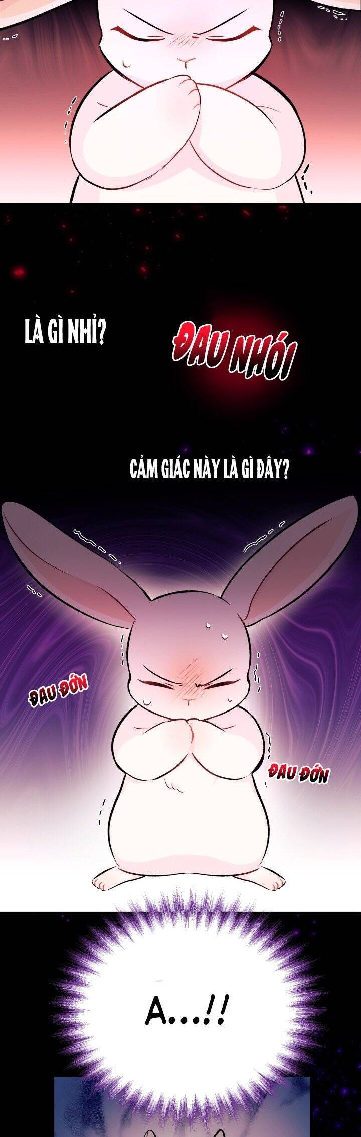 Mối Quan Hệ Cộng Sinh Giữa Báo Đen Và Thỏ Trắng - Chap 6 - Trang 15