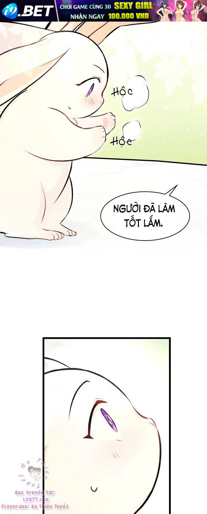 Mối Quan Hệ Cộng Sinh Giữa Báo Đen Và Thỏ Trắng - Chap 6 - Trang 17