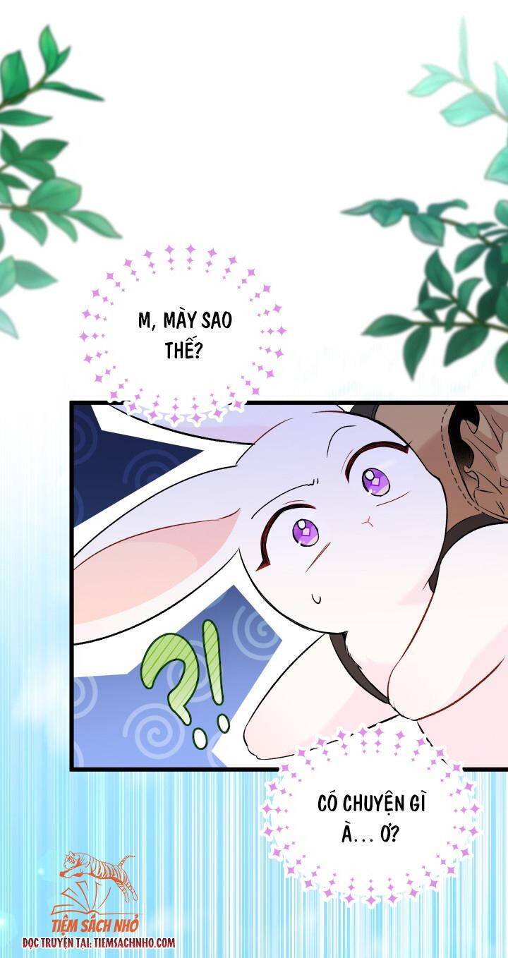 Mối Quan Hệ Cộng Sinh Giữa Báo Đen Và Thỏ Trắng - Chap 60 - Trang 7