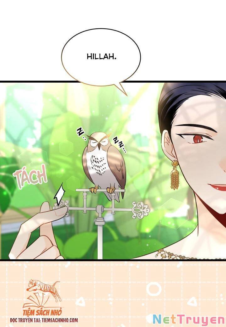 Mối Quan Hệ Cộng Sinh Giữa Báo Đen Và Thỏ Trắng - Chap 61 - Trang 16