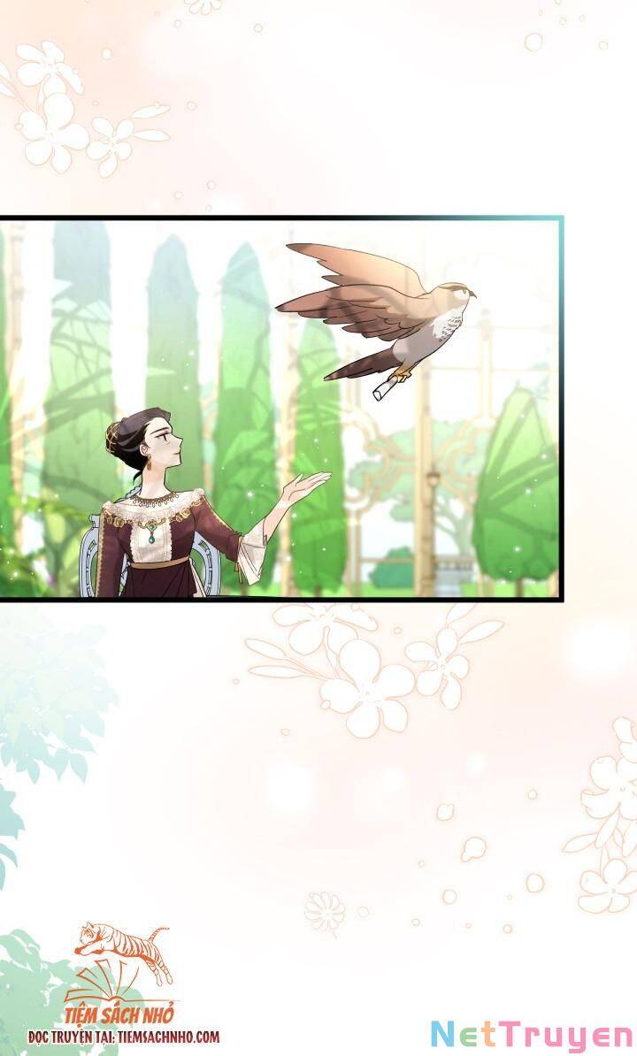 Mối Quan Hệ Cộng Sinh Giữa Báo Đen Và Thỏ Trắng - Chap 61 - Trang 18