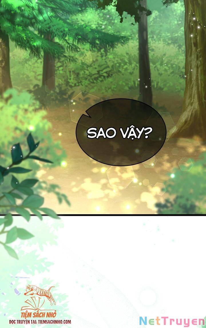 Mối Quan Hệ Cộng Sinh Giữa Báo Đen Và Thỏ Trắng - Chap 61 - Trang 22