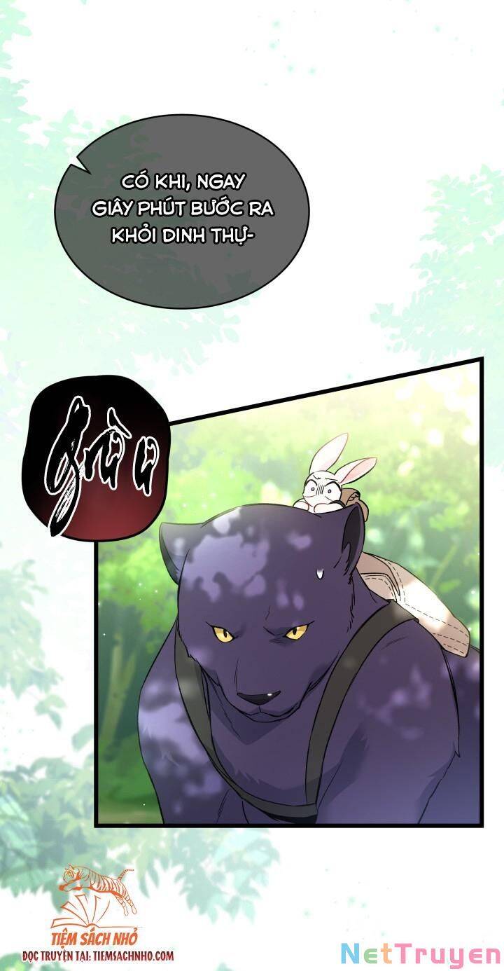 Mối Quan Hệ Cộng Sinh Giữa Báo Đen Và Thỏ Trắng - Chap 61 - Trang 24