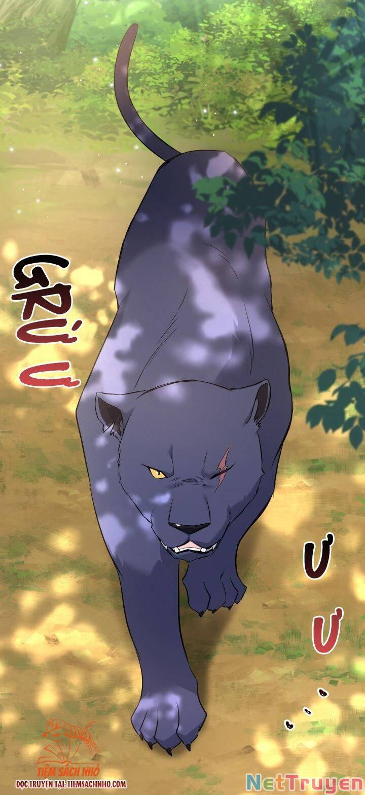 Mối Quan Hệ Cộng Sinh Giữa Báo Đen Và Thỏ Trắng - Chap 61 - Trang 26