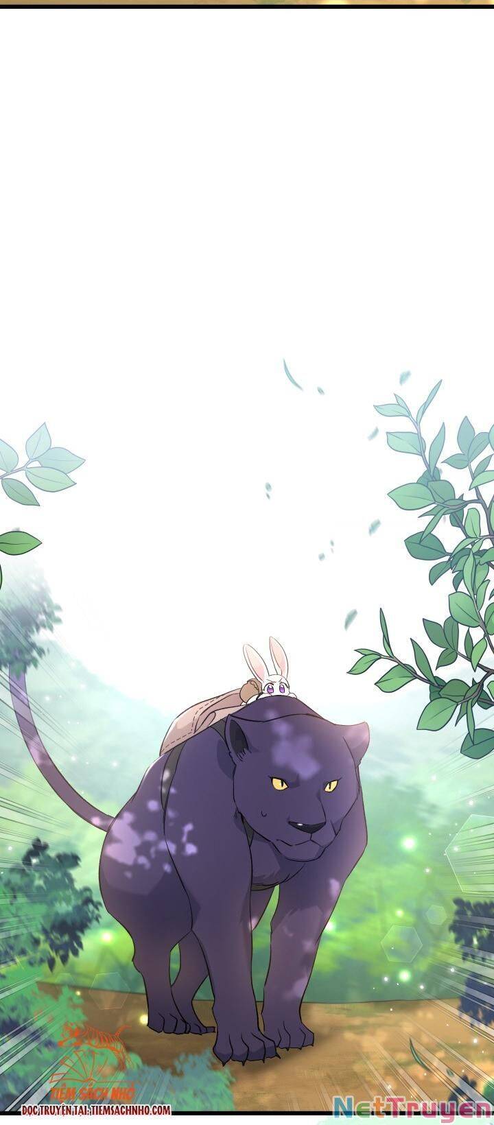 Mối Quan Hệ Cộng Sinh Giữa Báo Đen Và Thỏ Trắng - Chap 61 - Trang 27