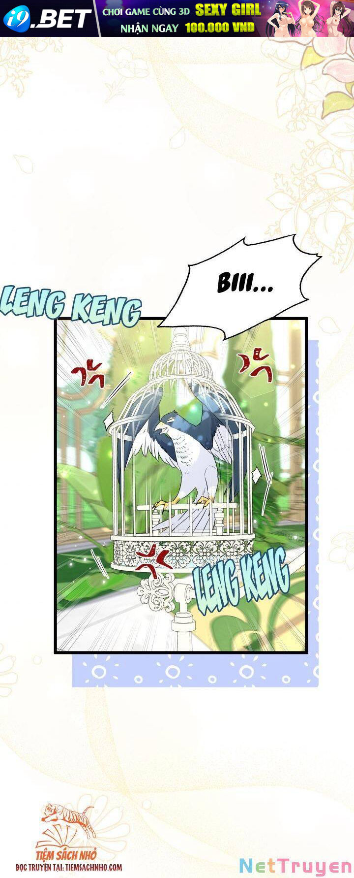 Mối Quan Hệ Cộng Sinh Giữa Báo Đen Và Thỏ Trắng - Chap 61 - Trang 4