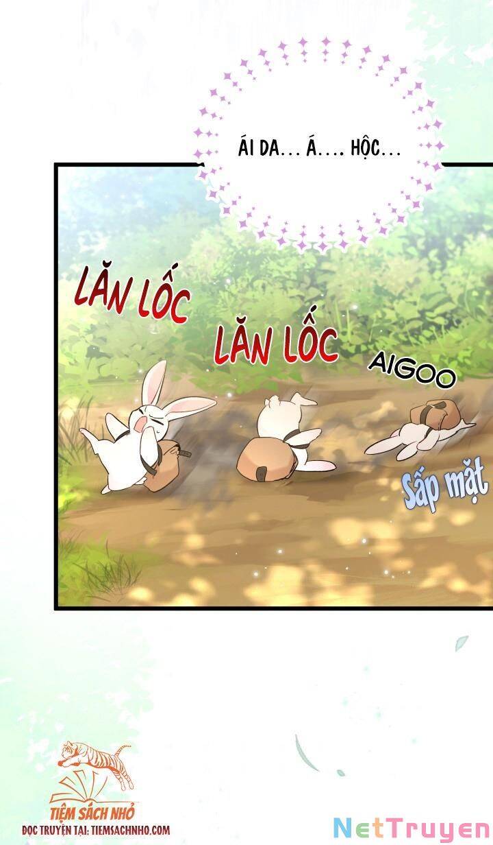 Mối Quan Hệ Cộng Sinh Giữa Báo Đen Và Thỏ Trắng - Chap 61 - Trang 31