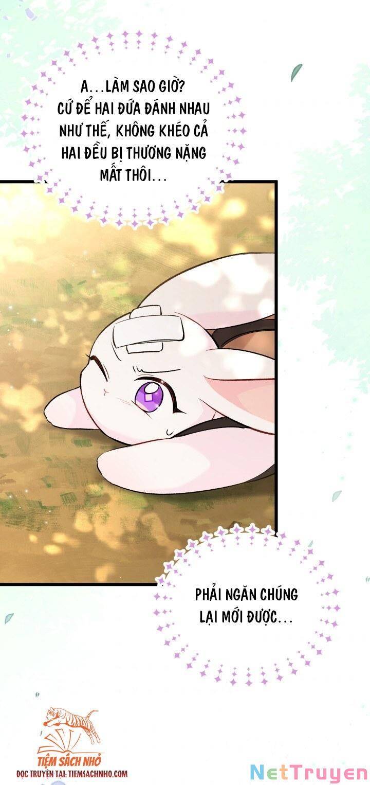 Mối Quan Hệ Cộng Sinh Giữa Báo Đen Và Thỏ Trắng - Chap 61 - Trang 32
