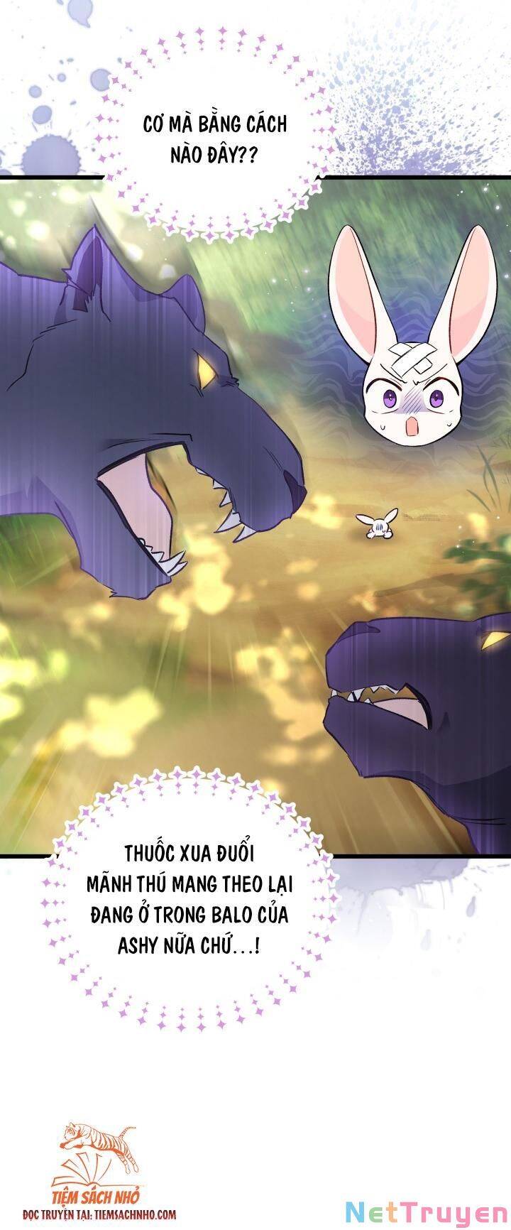 Mối Quan Hệ Cộng Sinh Giữa Báo Đen Và Thỏ Trắng - Chap 61 - Trang 33