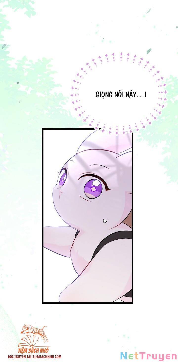 Mối Quan Hệ Cộng Sinh Giữa Báo Đen Và Thỏ Trắng - Chap 61 - Trang 36