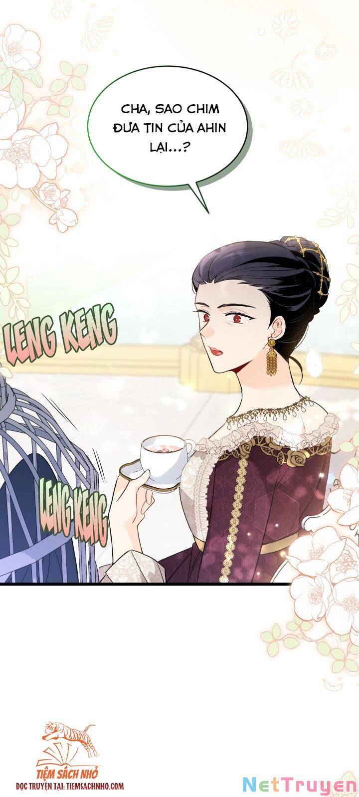 Mối Quan Hệ Cộng Sinh Giữa Báo Đen Và Thỏ Trắng - Chap 61 - Trang 5