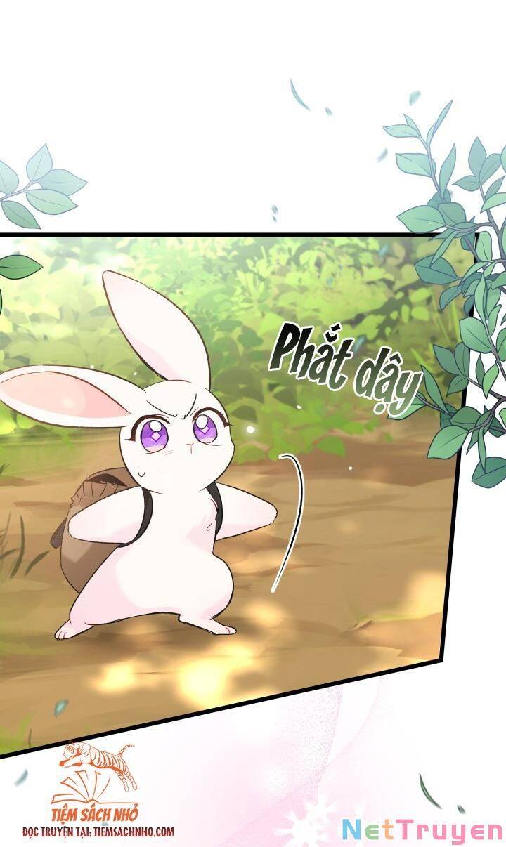 Mối Quan Hệ Cộng Sinh Giữa Báo Đen Và Thỏ Trắng - Chap 61 - Trang 44