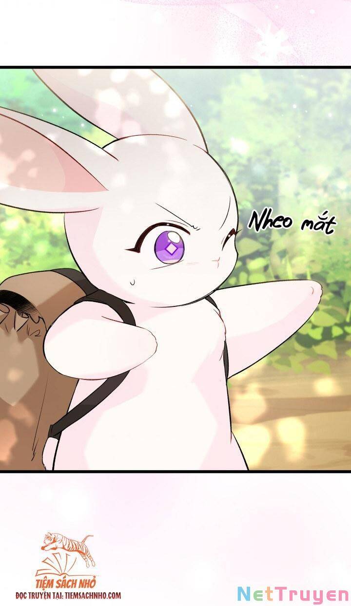 Mối Quan Hệ Cộng Sinh Giữa Báo Đen Và Thỏ Trắng - Chap 61 - Trang 46