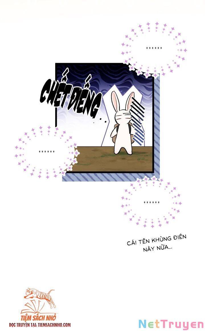 Mối Quan Hệ Cộng Sinh Giữa Báo Đen Và Thỏ Trắng - Chap 61 - Trang 49