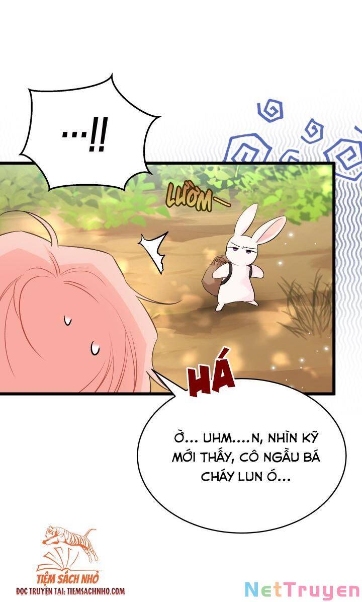 Mối Quan Hệ Cộng Sinh Giữa Báo Đen Và Thỏ Trắng - Chap 61 - Trang 50