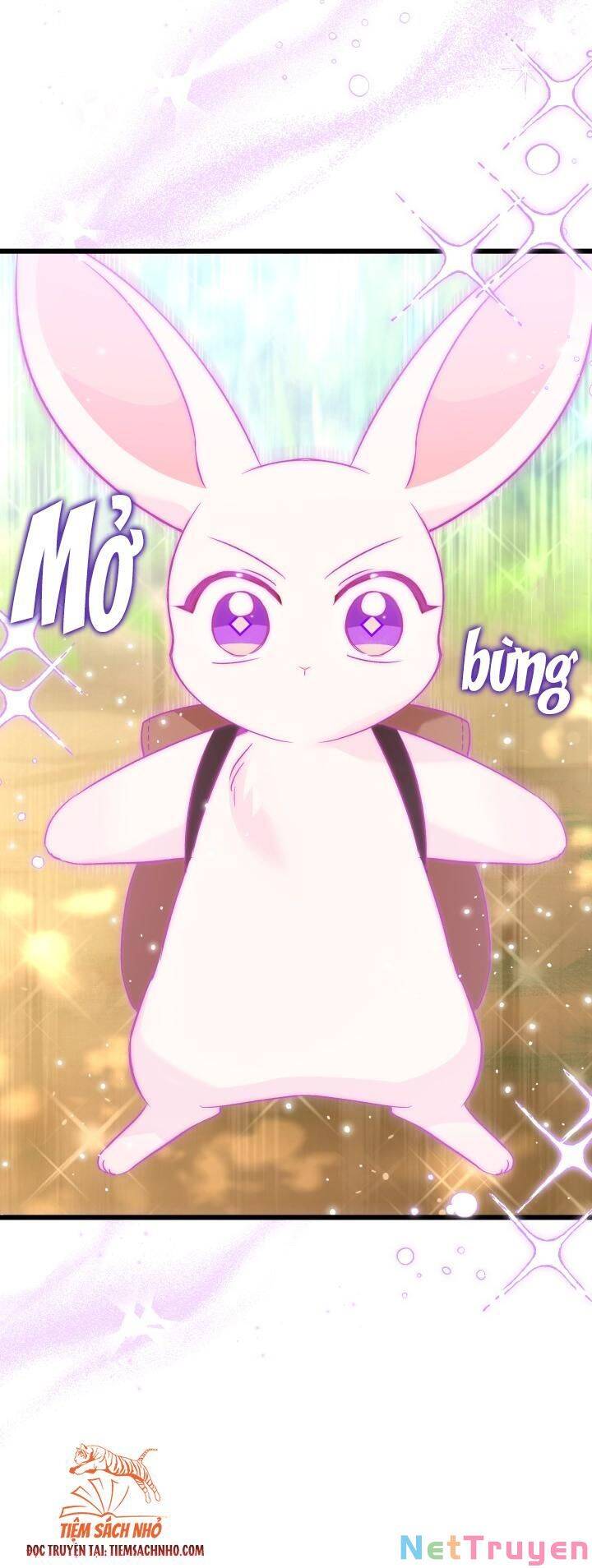Mối Quan Hệ Cộng Sinh Giữa Báo Đen Và Thỏ Trắng - Chap 61 - Trang 56