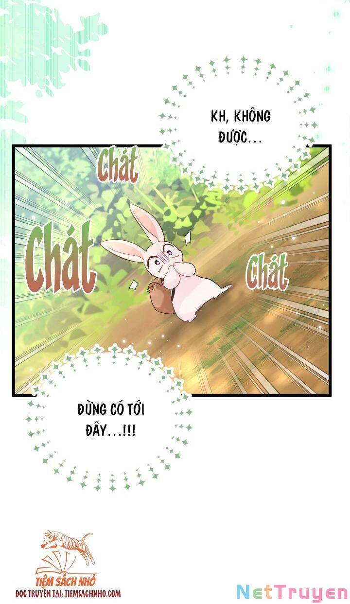 Mối Quan Hệ Cộng Sinh Giữa Báo Đen Và Thỏ Trắng - Chap 61 - Trang 65