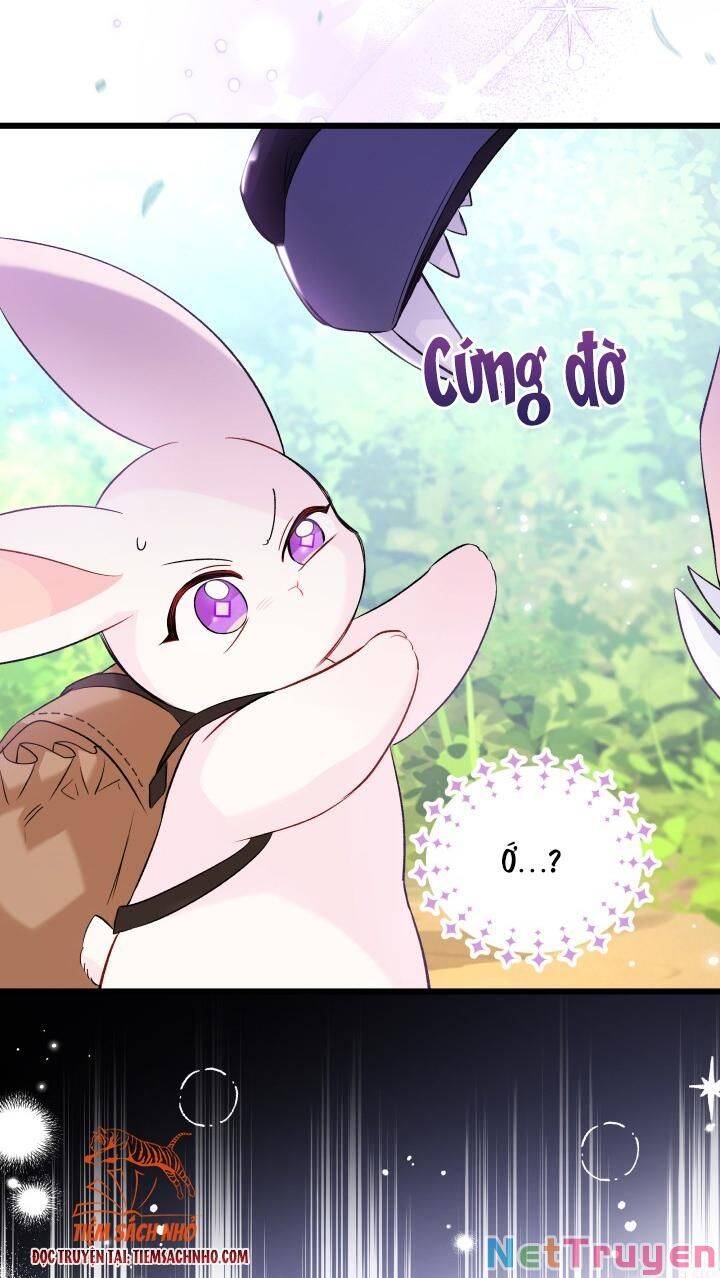 Mối Quan Hệ Cộng Sinh Giữa Báo Đen Và Thỏ Trắng - Chap 61 - Trang 68