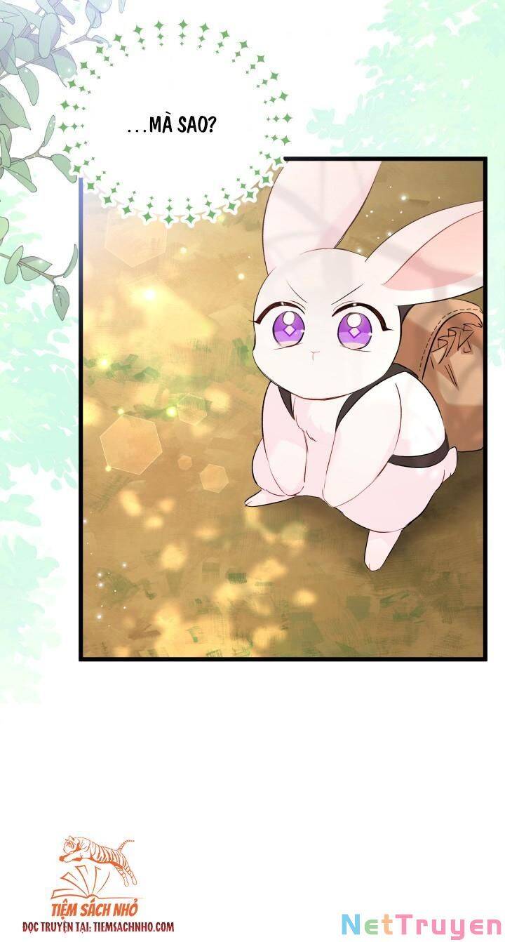 Mối Quan Hệ Cộng Sinh Giữa Báo Đen Và Thỏ Trắng - Chap 61 - Trang 74