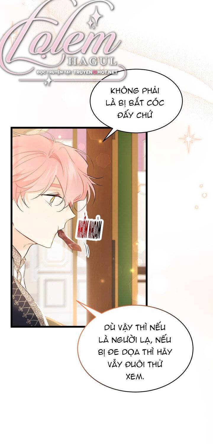 Mối Quan Hệ Cộng Sinh Giữa Báo Đen Và Thỏ Trắng - Chap 62 - Trang 8