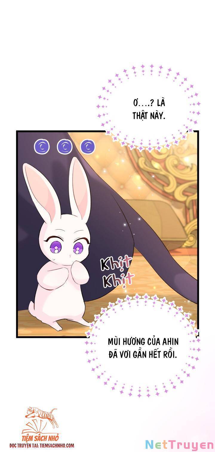 Mối Quan Hệ Cộng Sinh Giữa Báo Đen Và Thỏ Trắng - Chap 63 - Trang 12