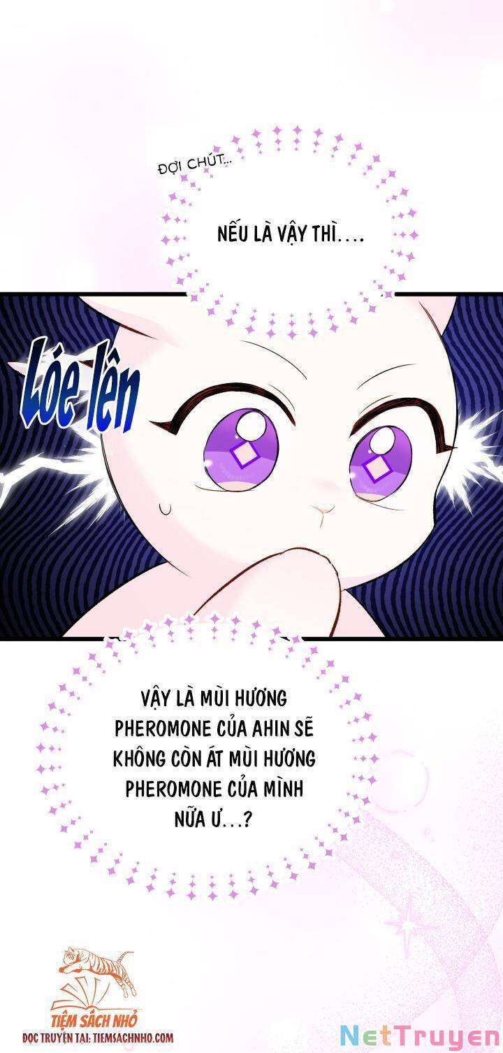Mối Quan Hệ Cộng Sinh Giữa Báo Đen Và Thỏ Trắng - Chap 63 - Trang 13