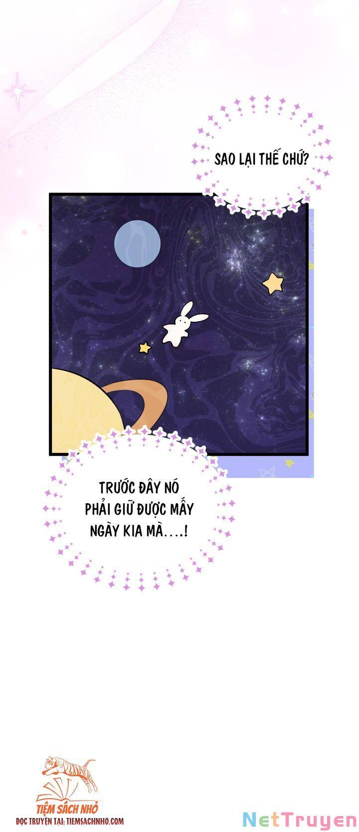 Mối Quan Hệ Cộng Sinh Giữa Báo Đen Và Thỏ Trắng - Chap 63 - Trang 16