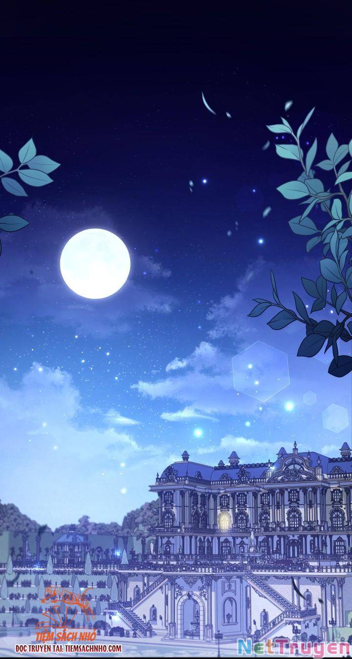 Mối Quan Hệ Cộng Sinh Giữa Báo Đen Và Thỏ Trắng - Chap 63 - Trang 3