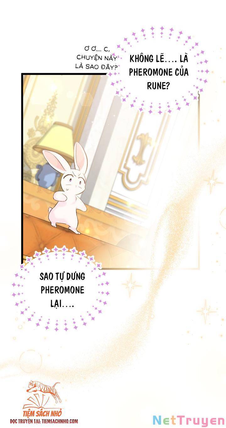 Mối Quan Hệ Cộng Sinh Giữa Báo Đen Và Thỏ Trắng - Chap 63 - Trang 28