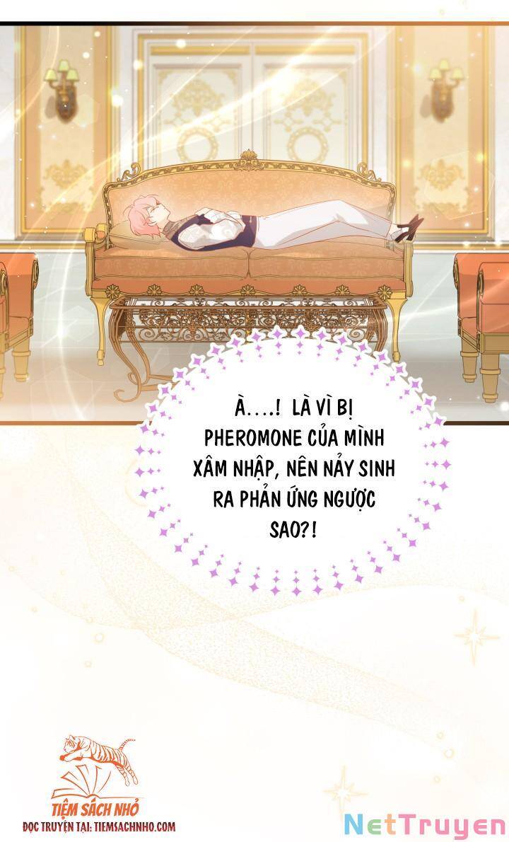 Mối Quan Hệ Cộng Sinh Giữa Báo Đen Và Thỏ Trắng - Chap 63 - Trang 29