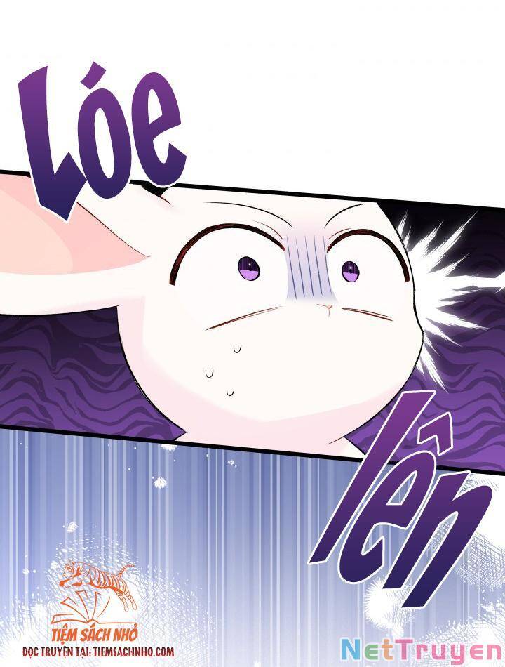 Mối Quan Hệ Cộng Sinh Giữa Báo Đen Và Thỏ Trắng - Chap 63 - Trang 31