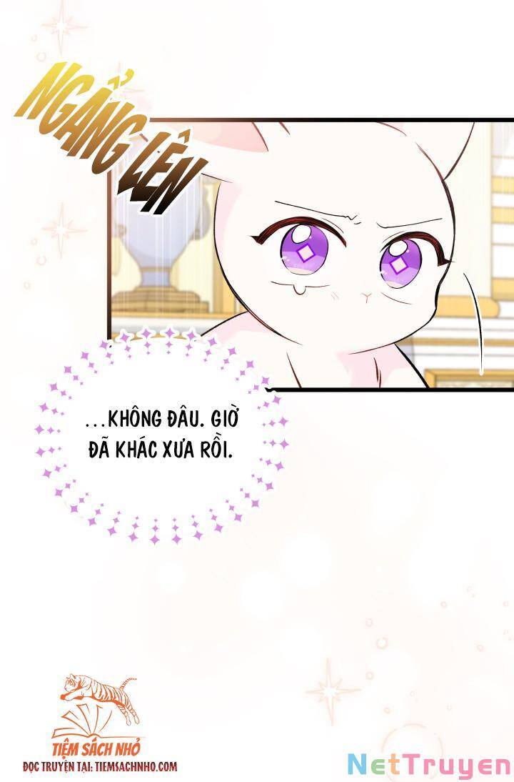 Mối Quan Hệ Cộng Sinh Giữa Báo Đen Và Thỏ Trắng - Chap 63 - Trang 39